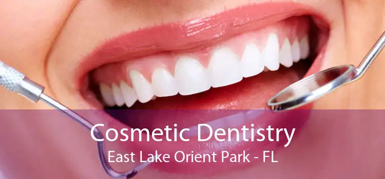 Cosmetic Dentistry East Lake Orient Park - FL