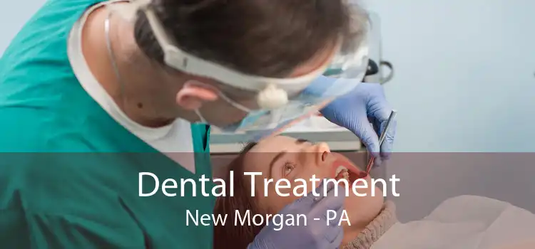 Dental Treatment New Morgan - PA