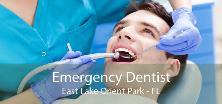 Emergency Dentist East Lake Orient Park - FL
