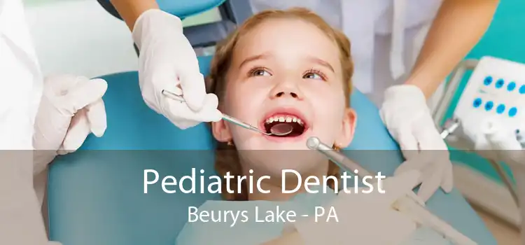 Pediatric Dentist Beurys Lake - PA