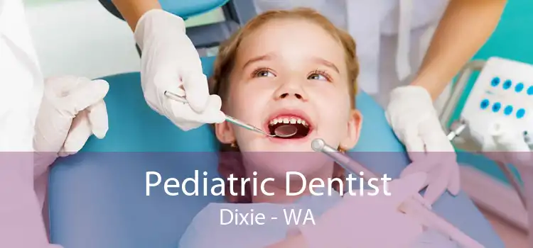 Pediatric Dentist Dixie - WA