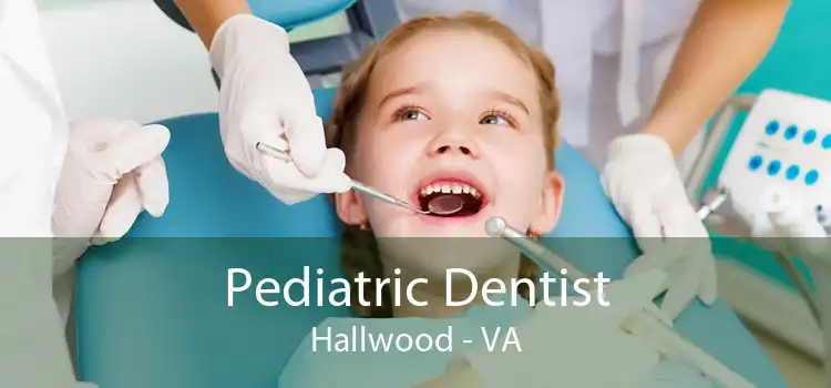 Pediatric Dentist Hallwood - VA