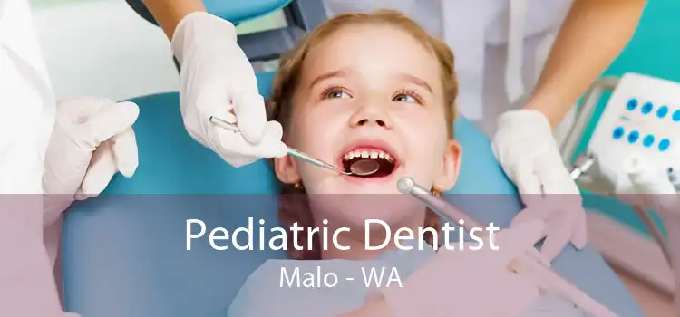 Pediatric Dentist Malo - WA