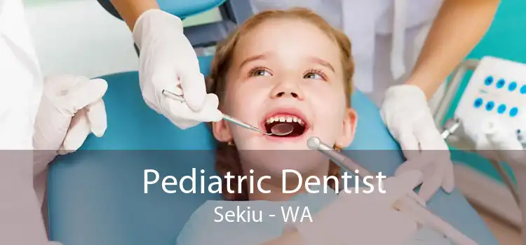 Pediatric Dentist Sekiu - WA