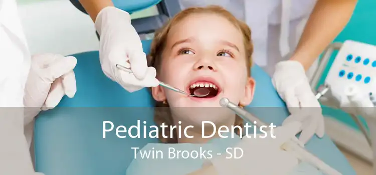 Pediatric Dentist Twin Brooks - SD