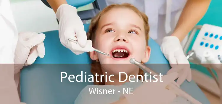 Pediatric Dentist Wisner - NE