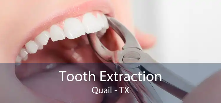 Tooth Extraction Quail - TX