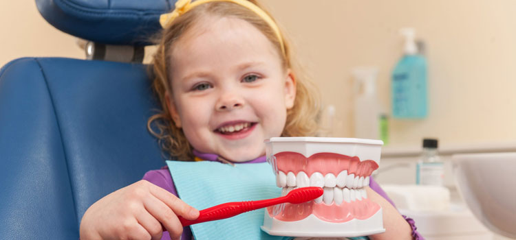 Affordable Pediatric Dentist in Alliance, OH